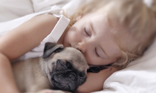 Confortul termic al spatiilor in care traim