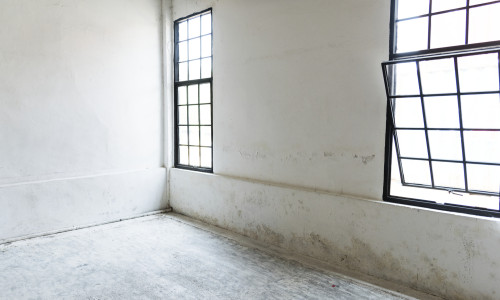 Igrasia - Cauze, Prevenire si Combatere