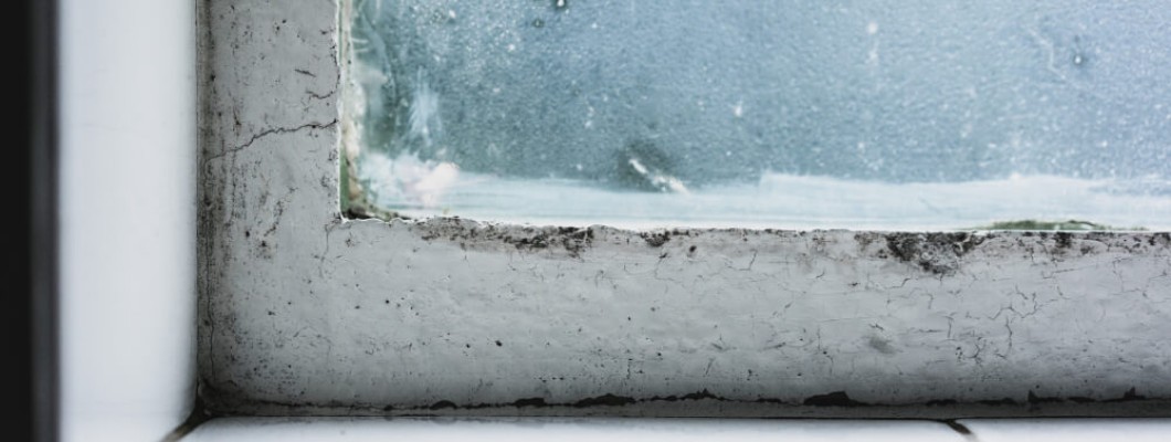 Ce trebuie sa faci dupa inundatie in casa? Indicatii & sfaturi utile