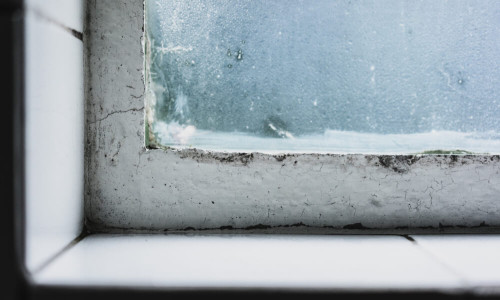 Ce trebuie sa faci dupa inundatie in casa? Indicatii & sfaturi utile