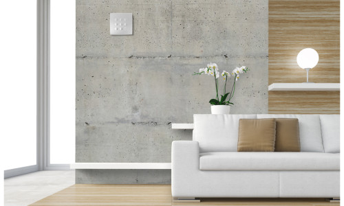 8 solutii pentru a respira aer curat acasa